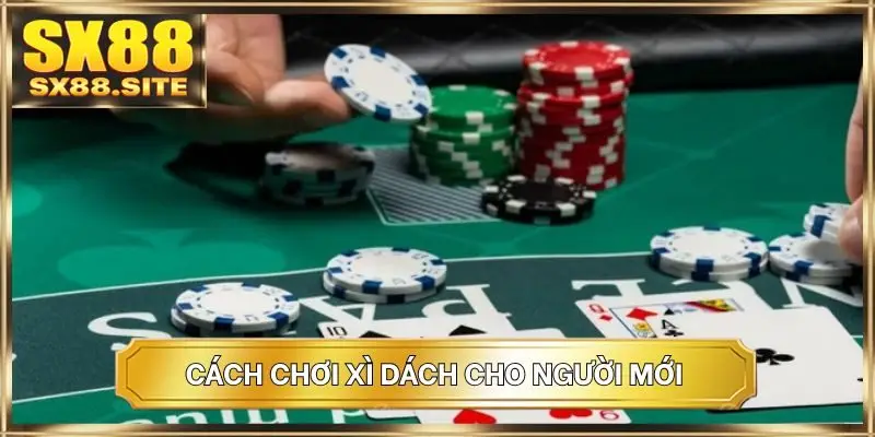 Cách chơi xì dách cho người mới