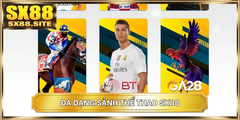 Đa dạng sảnh thể thao SX88