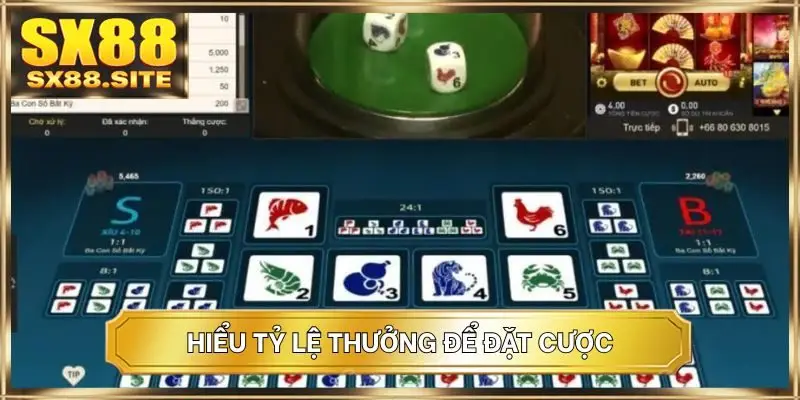 Hiểu tỷ lệ thưởng để đặt cược