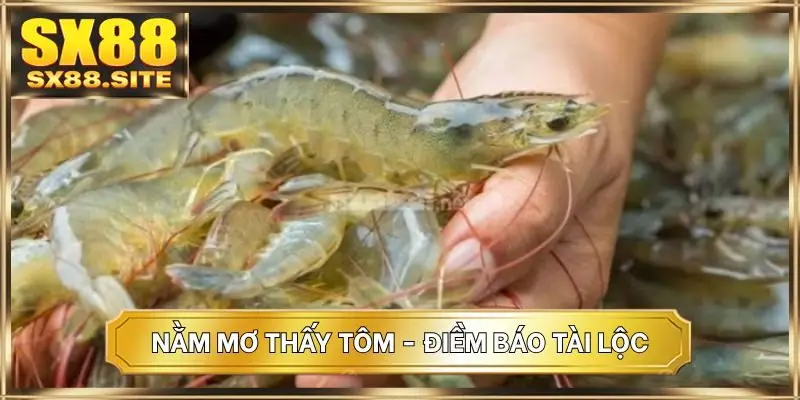 Nằm mơ thấy tôm