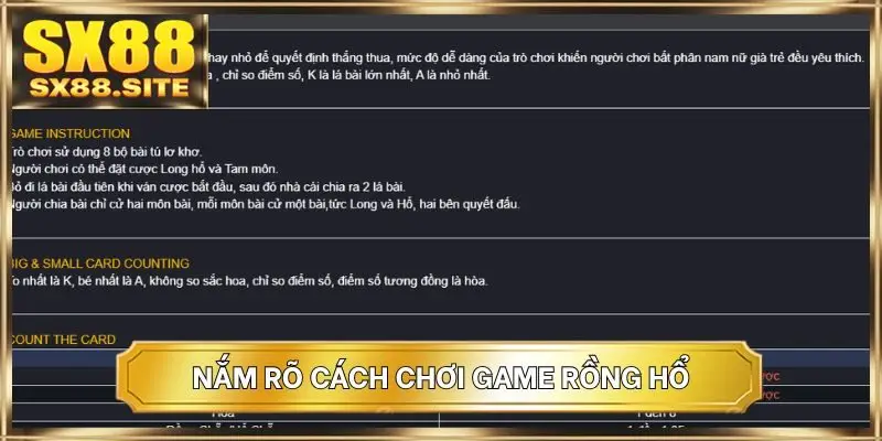 Nắm rõ cách chơi game Rồng Hổ