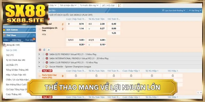 Thể thao mang về lợi nhuận lớn